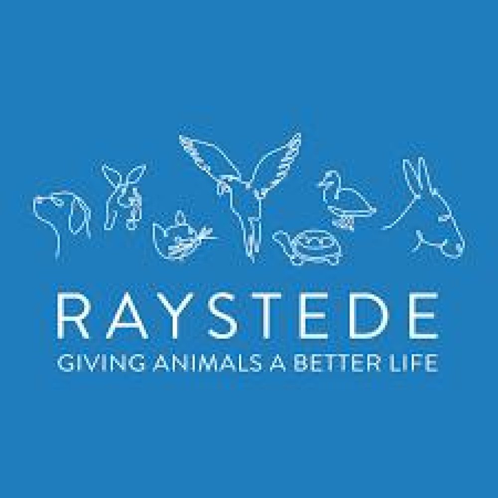 Eastbourne Business Awards - Raystede Centre for Animal Welfare